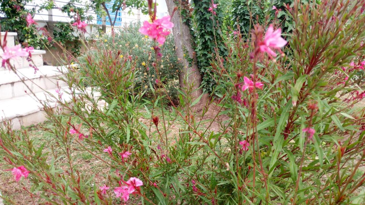 ماتيناتا B&B Conca Del Faro المظهر الخارجي الصورة
