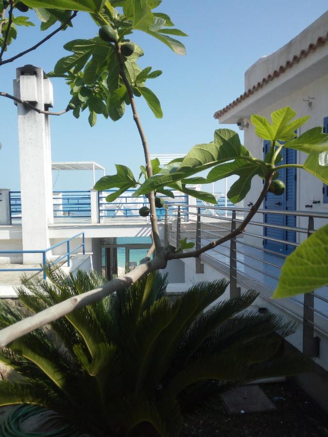 ماتيناتا B&B Conca Del Faro المظهر الخارجي الصورة
